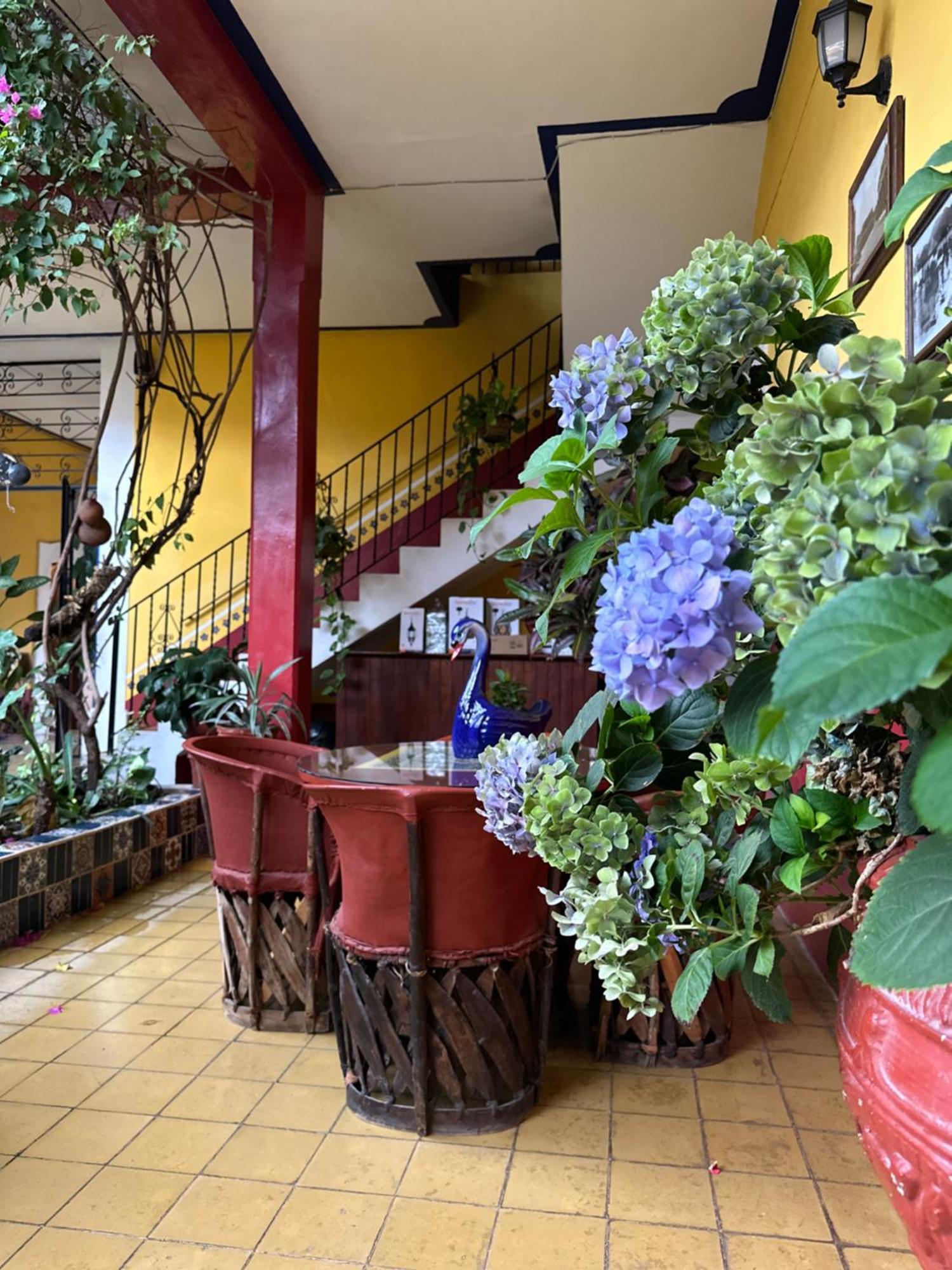 Copa De Oro Hotel Boutique มาสโกตา ภายนอก รูปภาพ