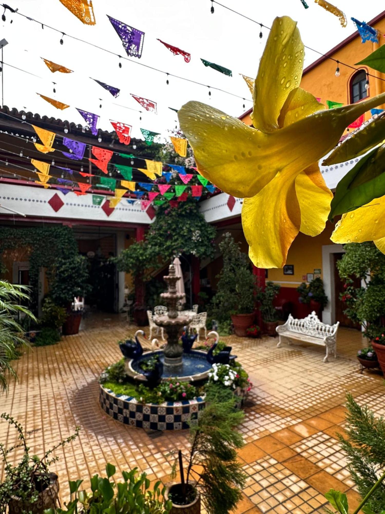 Copa De Oro Hotel Boutique มาสโกตา ภายนอก รูปภาพ
