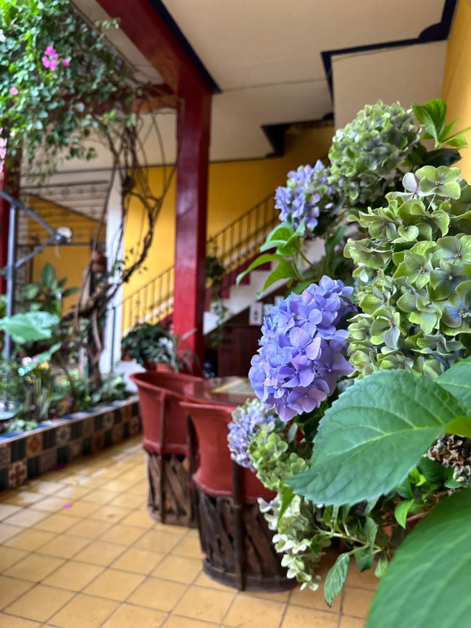 Copa De Oro Hotel Boutique มาสโกตา ภายนอก รูปภาพ
